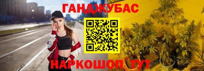 Альфа ПВП Сланцы